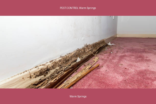 PEST CONTROL Warm Springs
